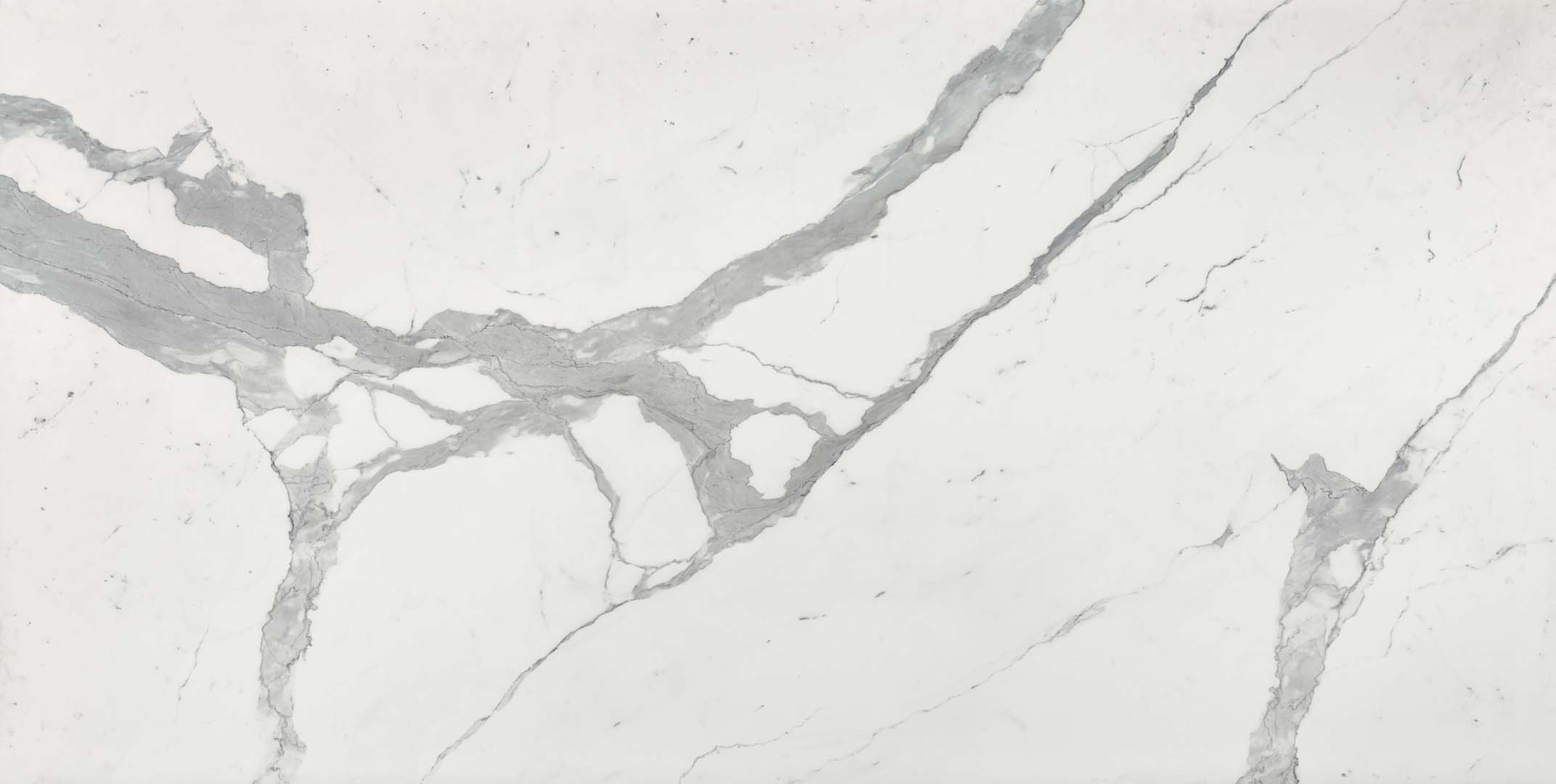 Bianco Statuario Venato