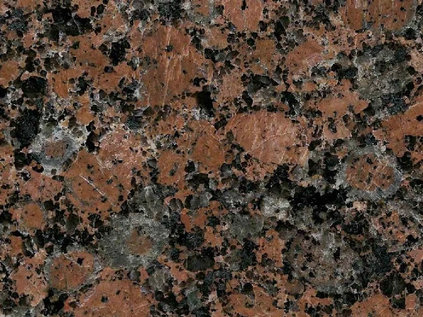 Baltic Rot