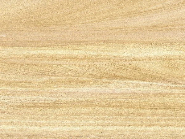 Indian Teak