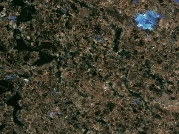 Labrador Antic