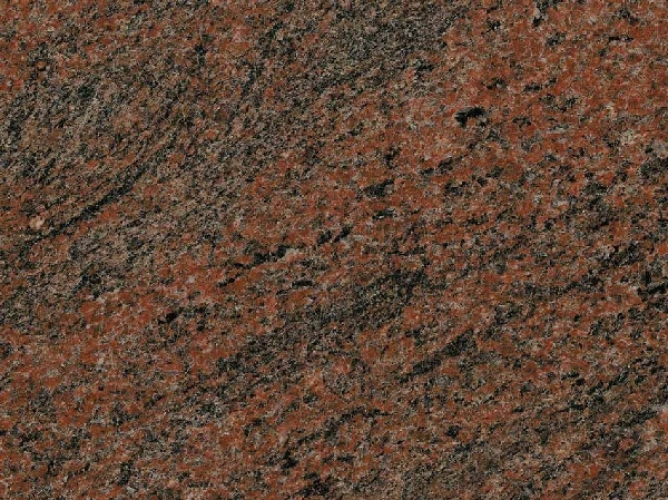 Multicolor Rot India