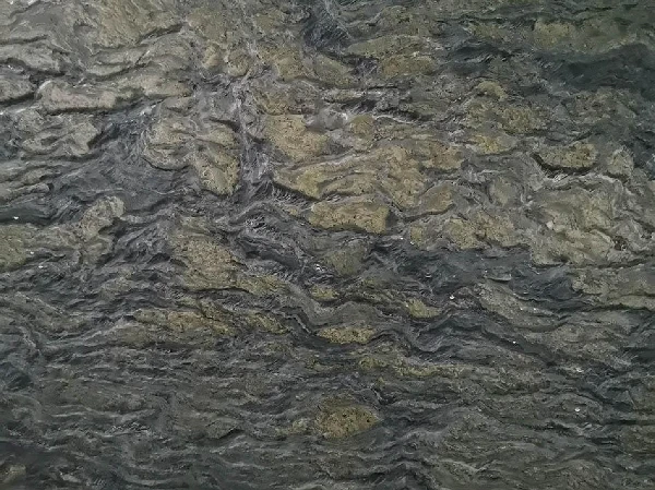 Verde Picasso