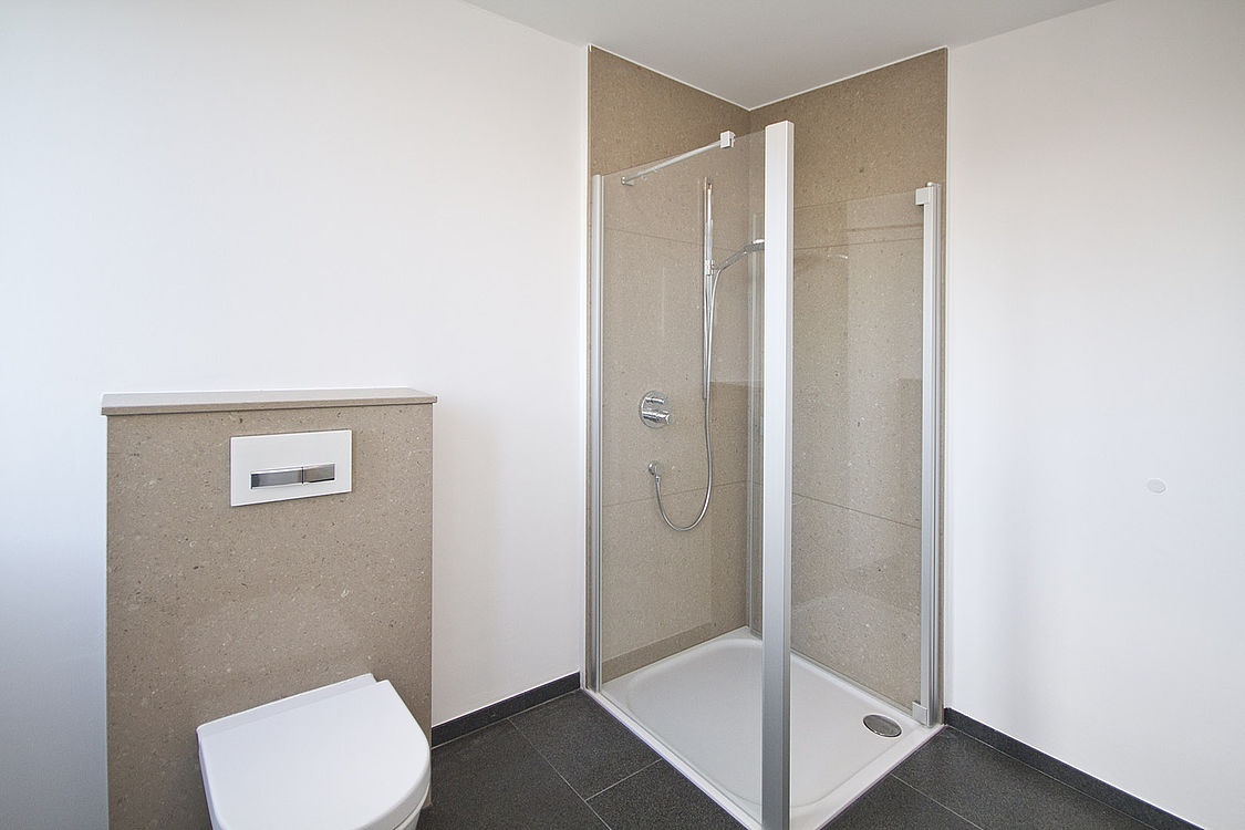 Caesarstone 4230 Shitake / Impala Scuro – Bäder Projekt